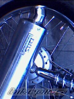 Photo 1222922