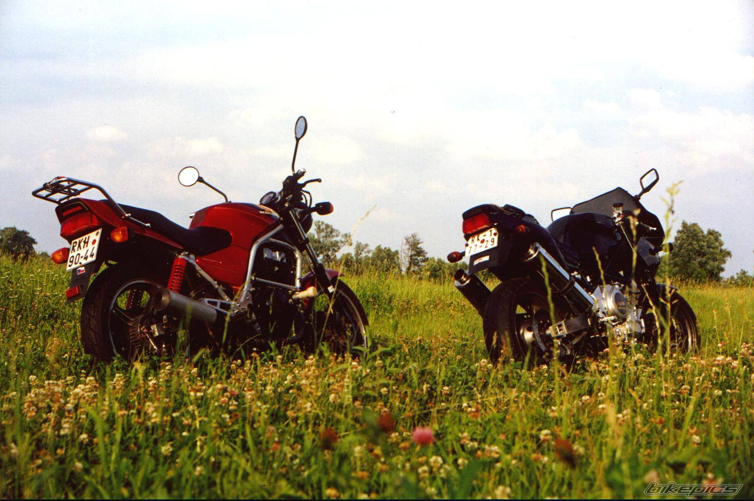 Photo 122295