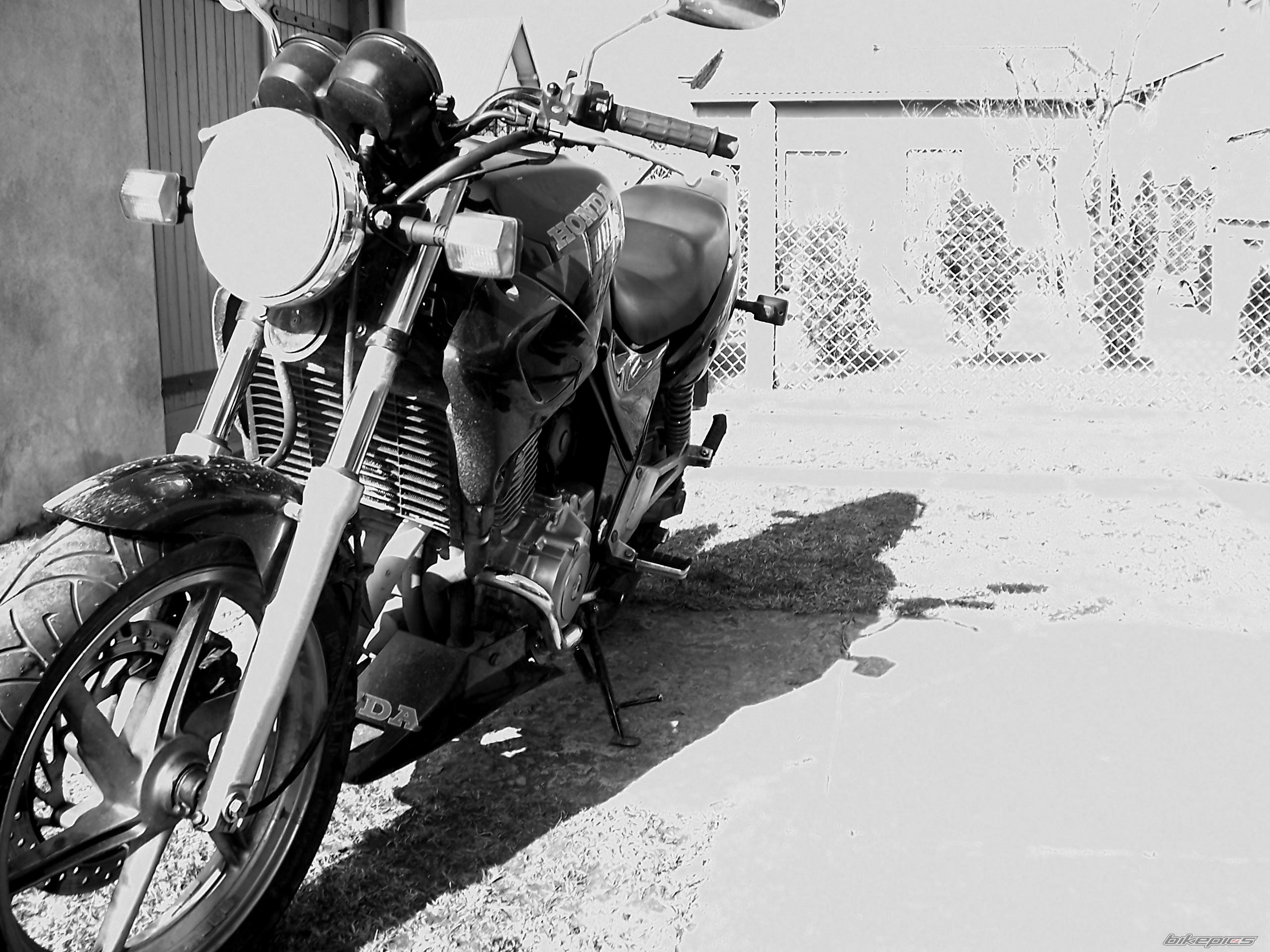 Photo 1222967