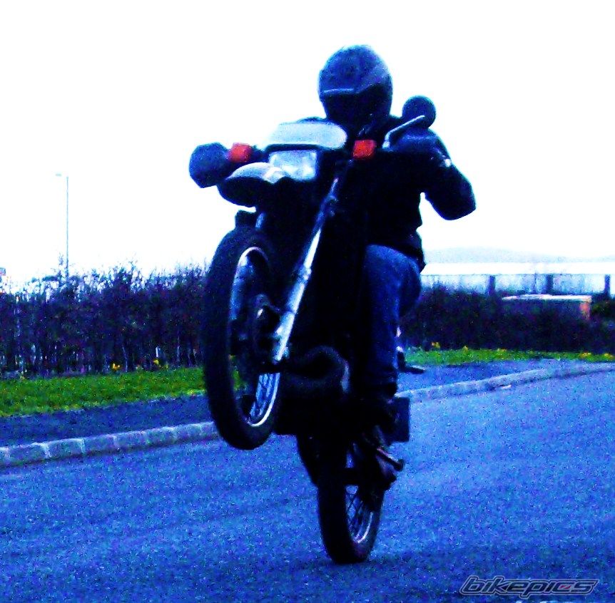 Photo 1222985