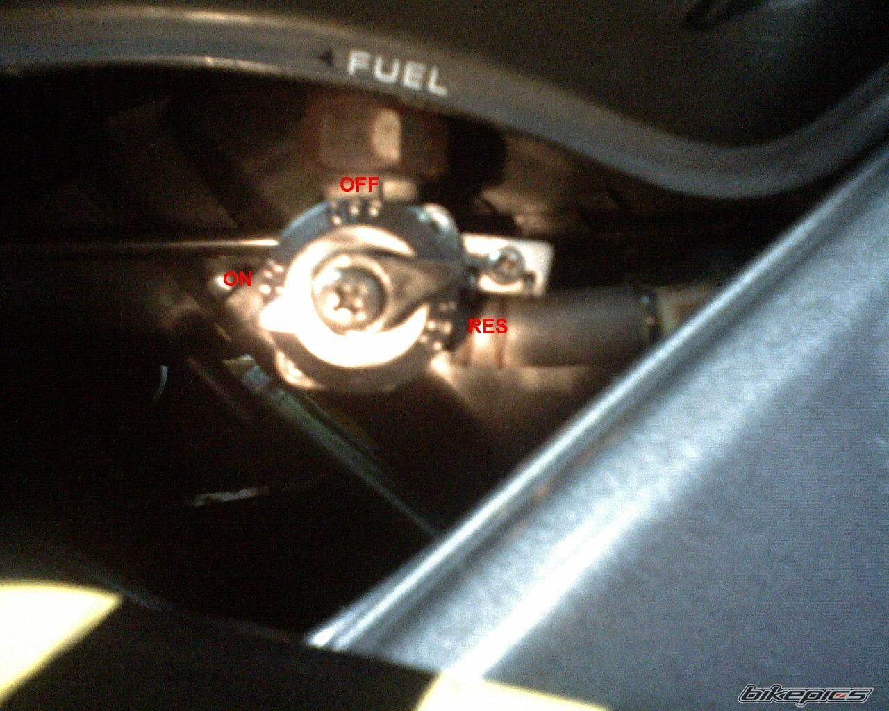 Photo 1223005