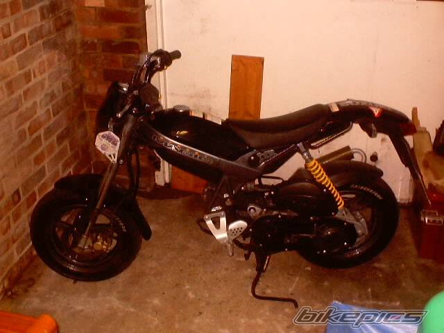 Photo 122302