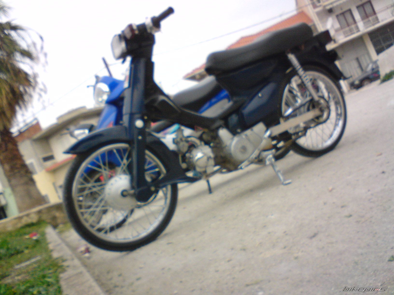 Photo 1223025