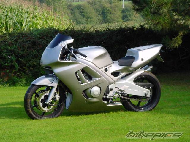 Photo 12232