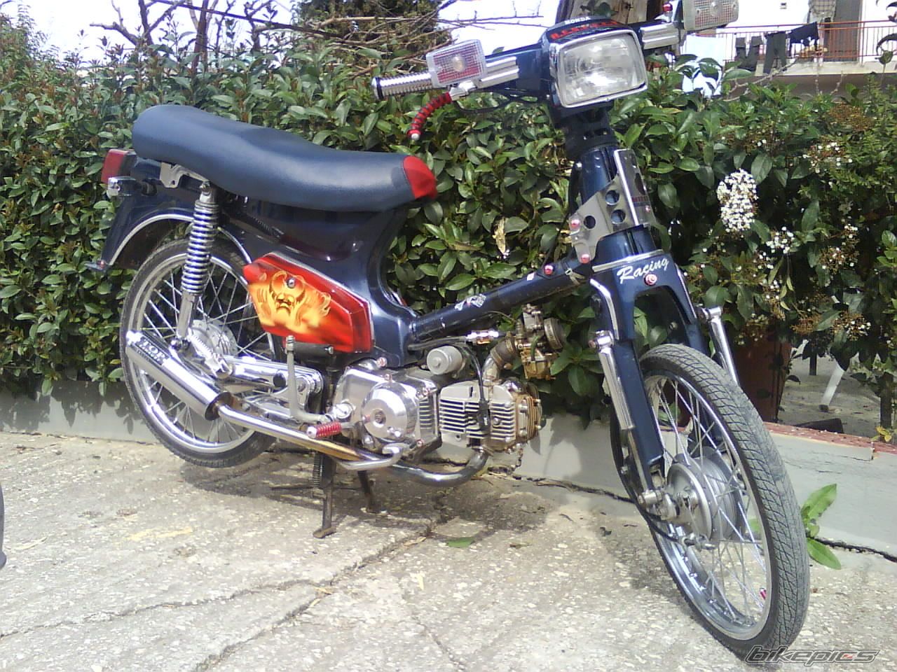 Photo 1223270