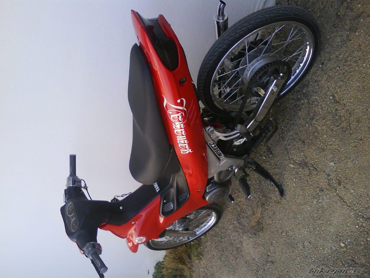 Photo 1223290