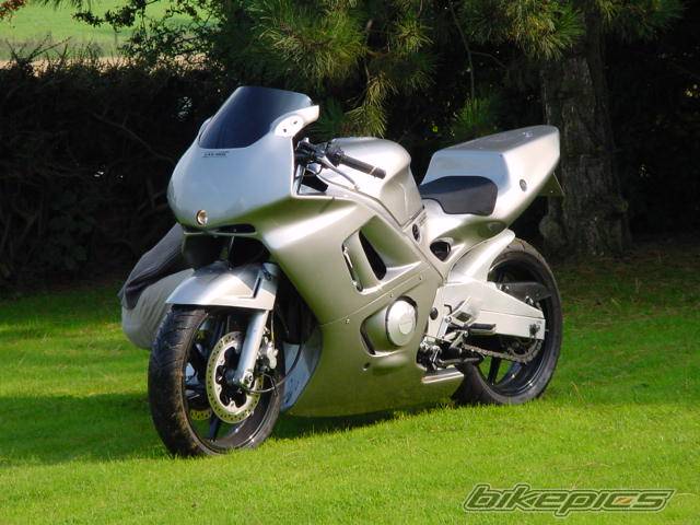 Photo 12233