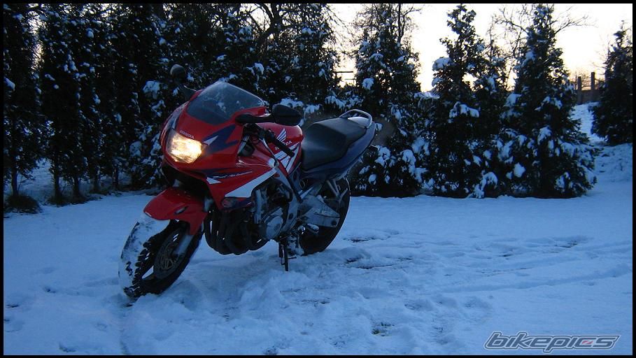 Photo 1223334