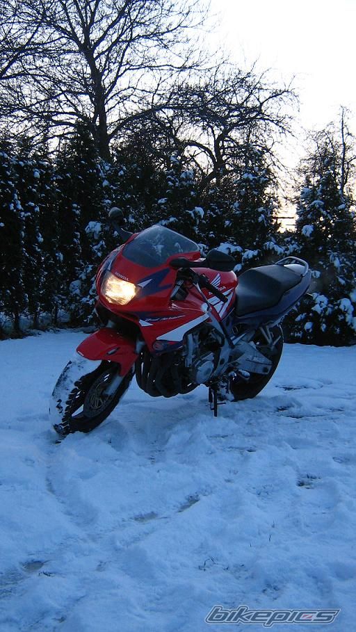 Photo 1223335