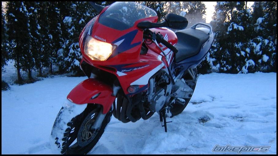 Photo 1223338