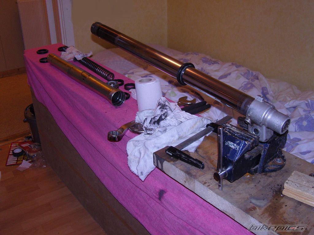 Photo 1223475
