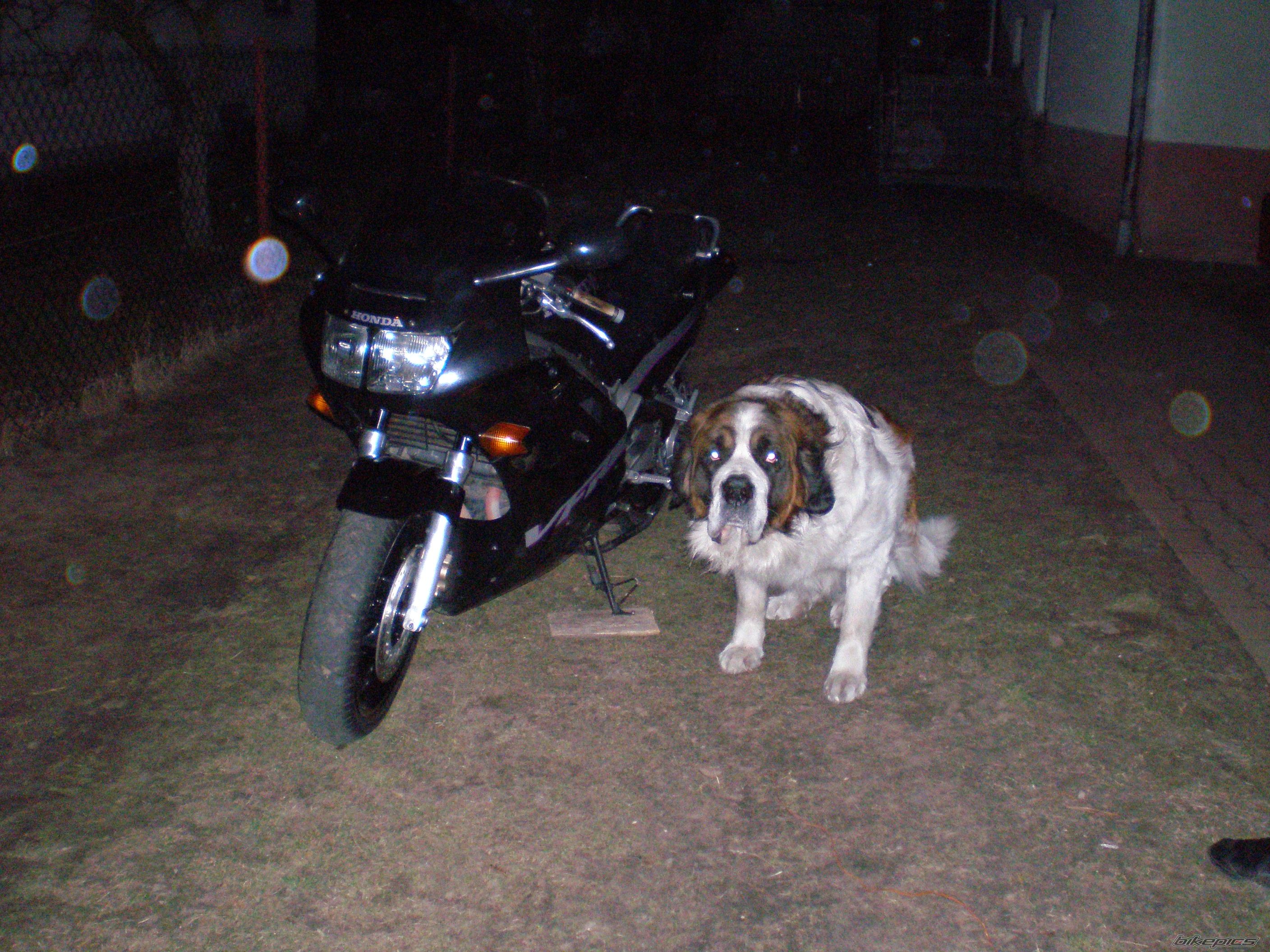 Photo 1223536