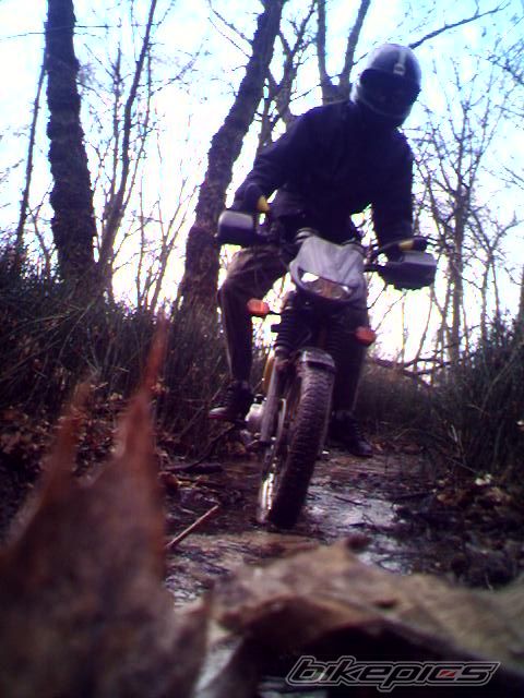 Photo 1223549