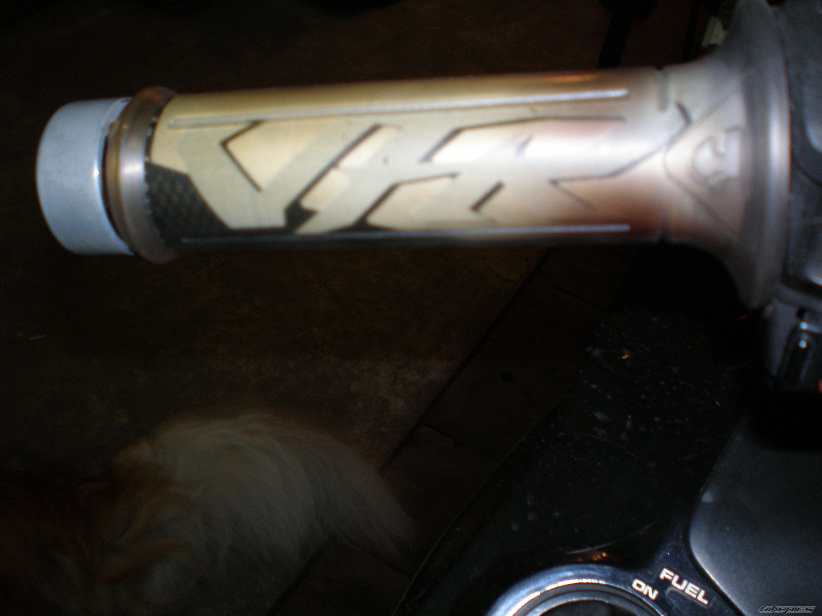 Photo 1223556