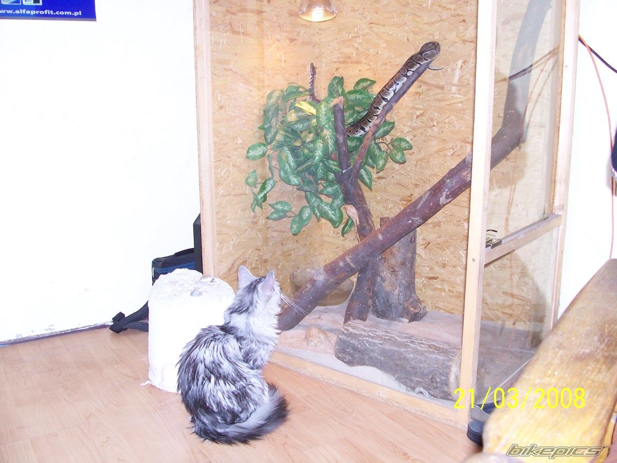 Photo 1223733