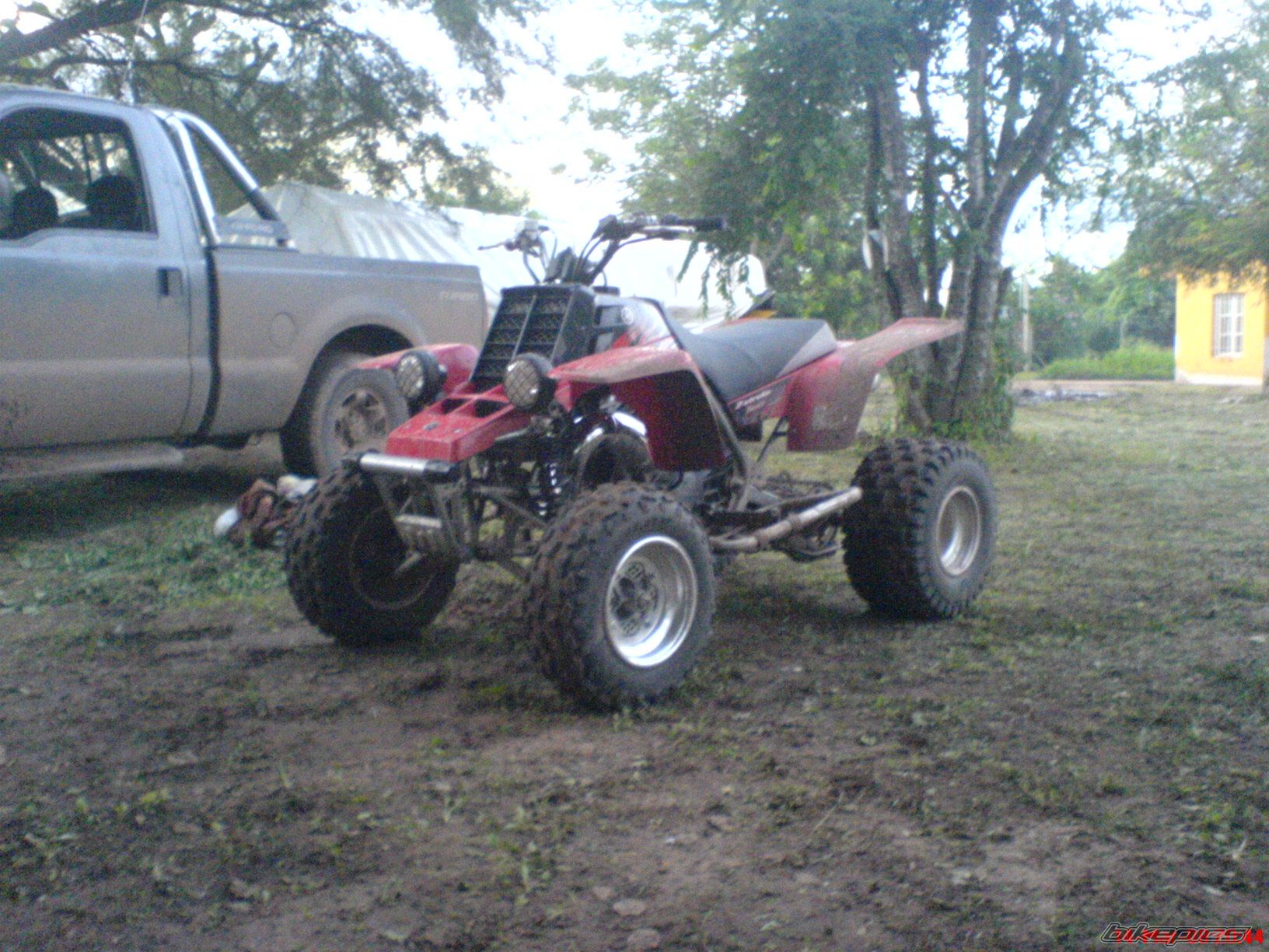 Photo 1223793