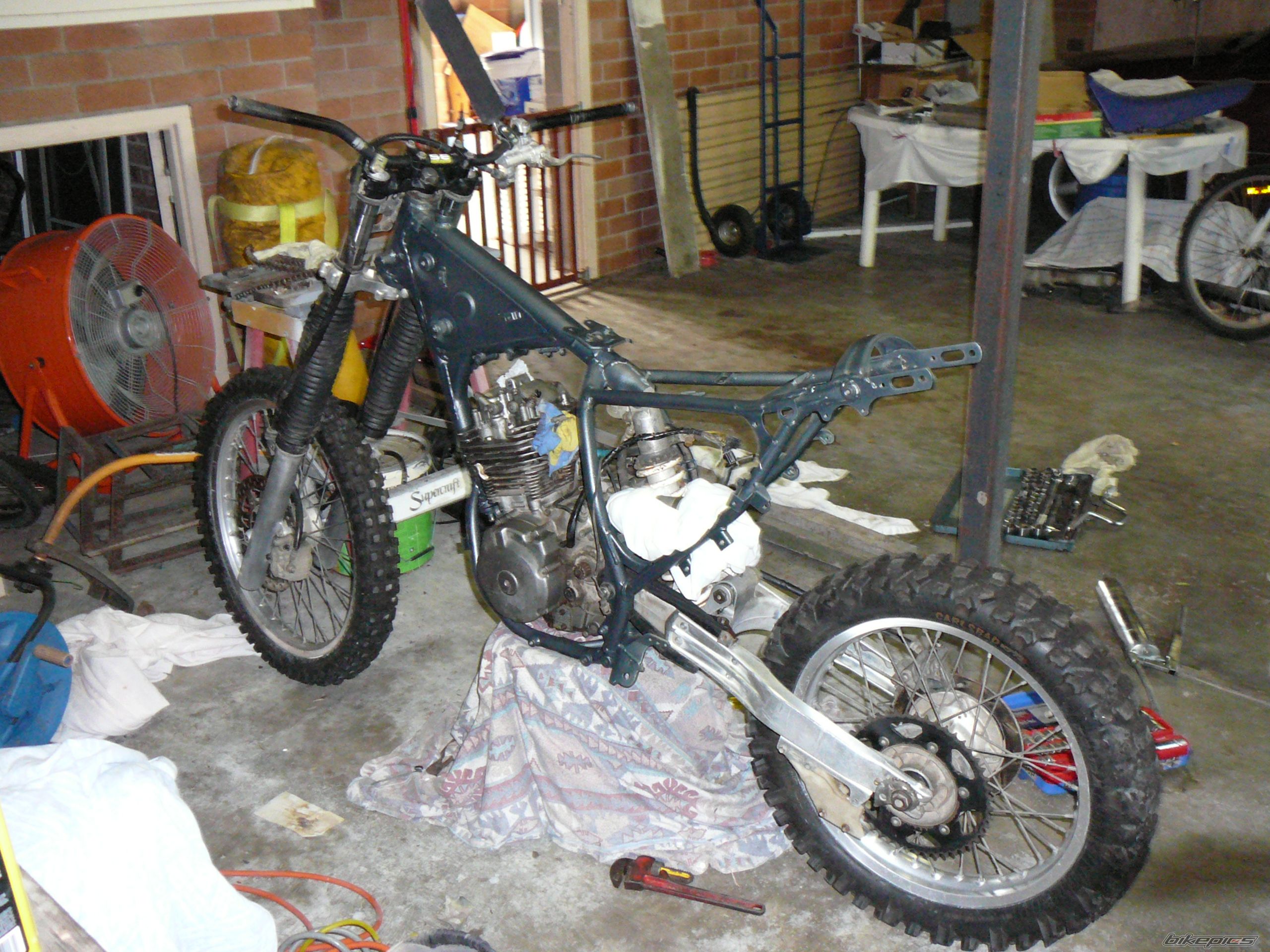 Photo 1223794
