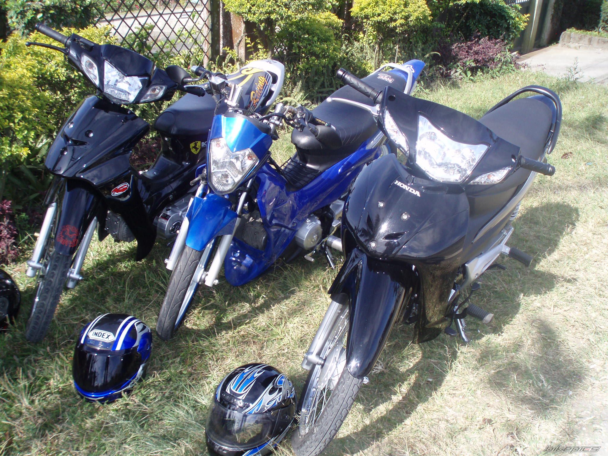 Photo 1223829