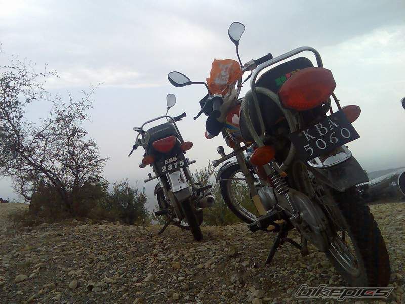 Photo 1223846