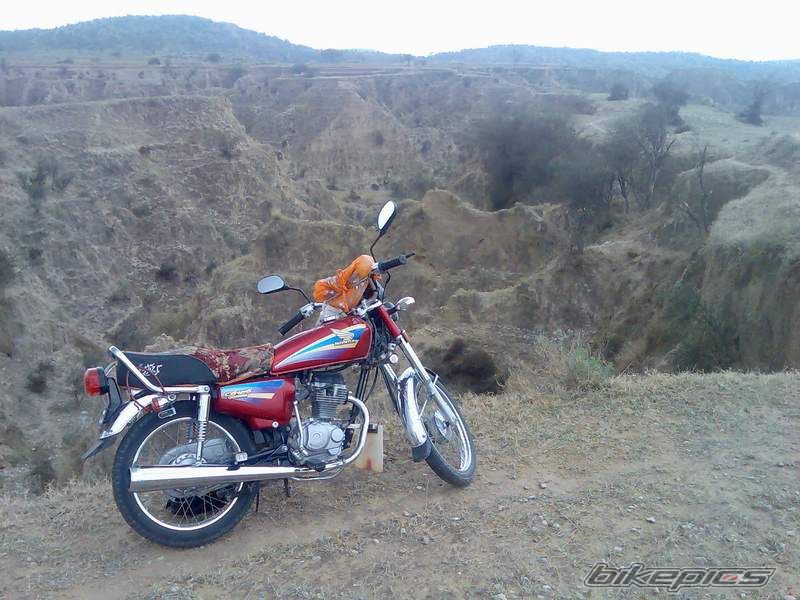 Photo 1223849