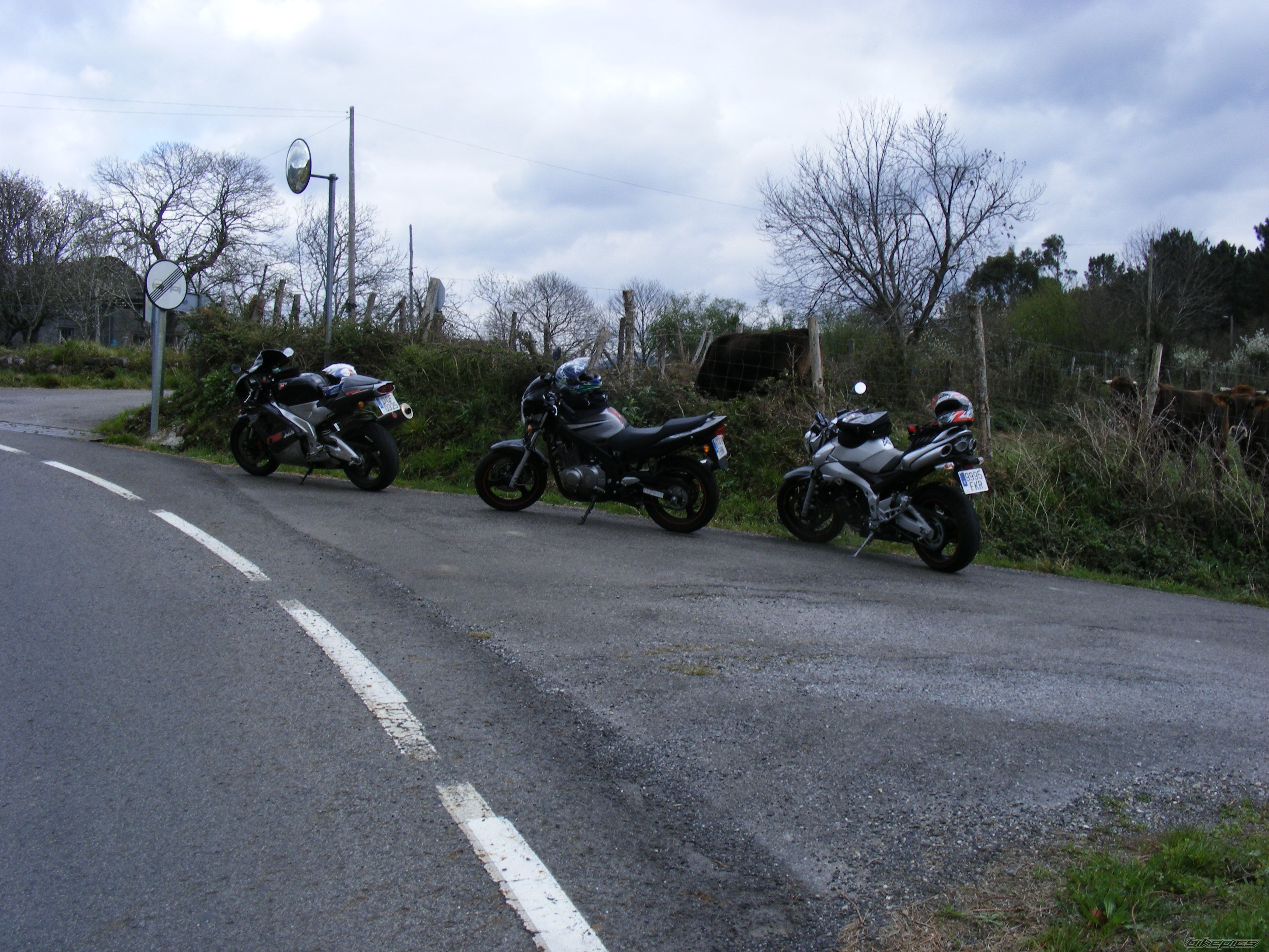 Photo 1223993