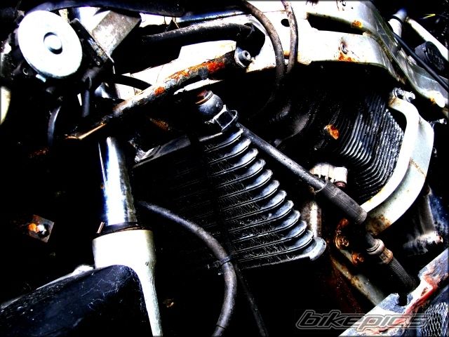 Bike Photo 1224000