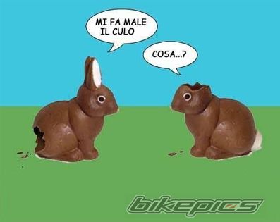 Bike Photo 1224096