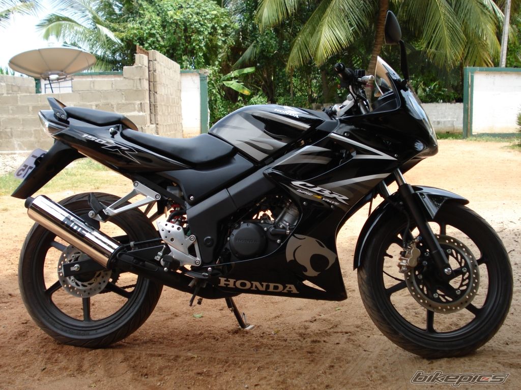 Photo 1224129