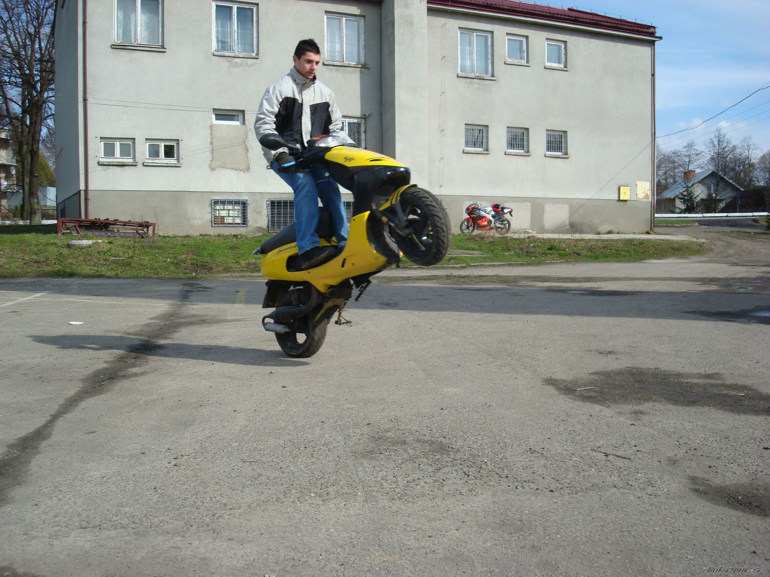 Photo 1224206