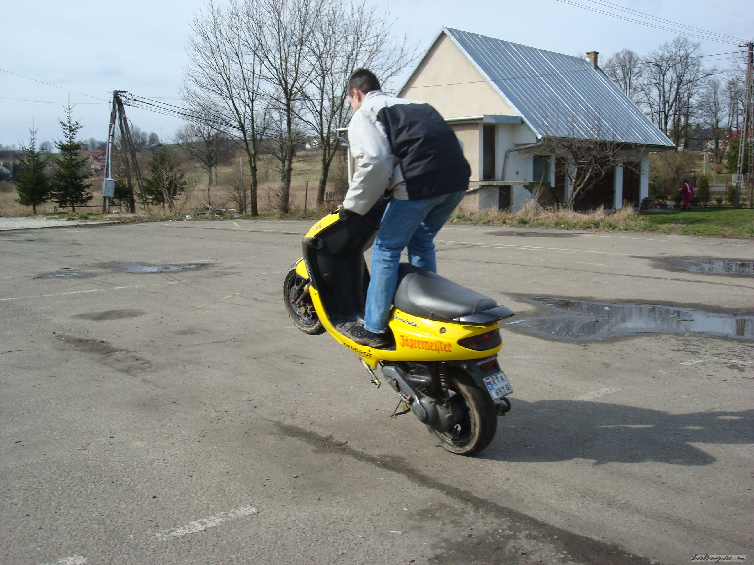 Photo 1224210
