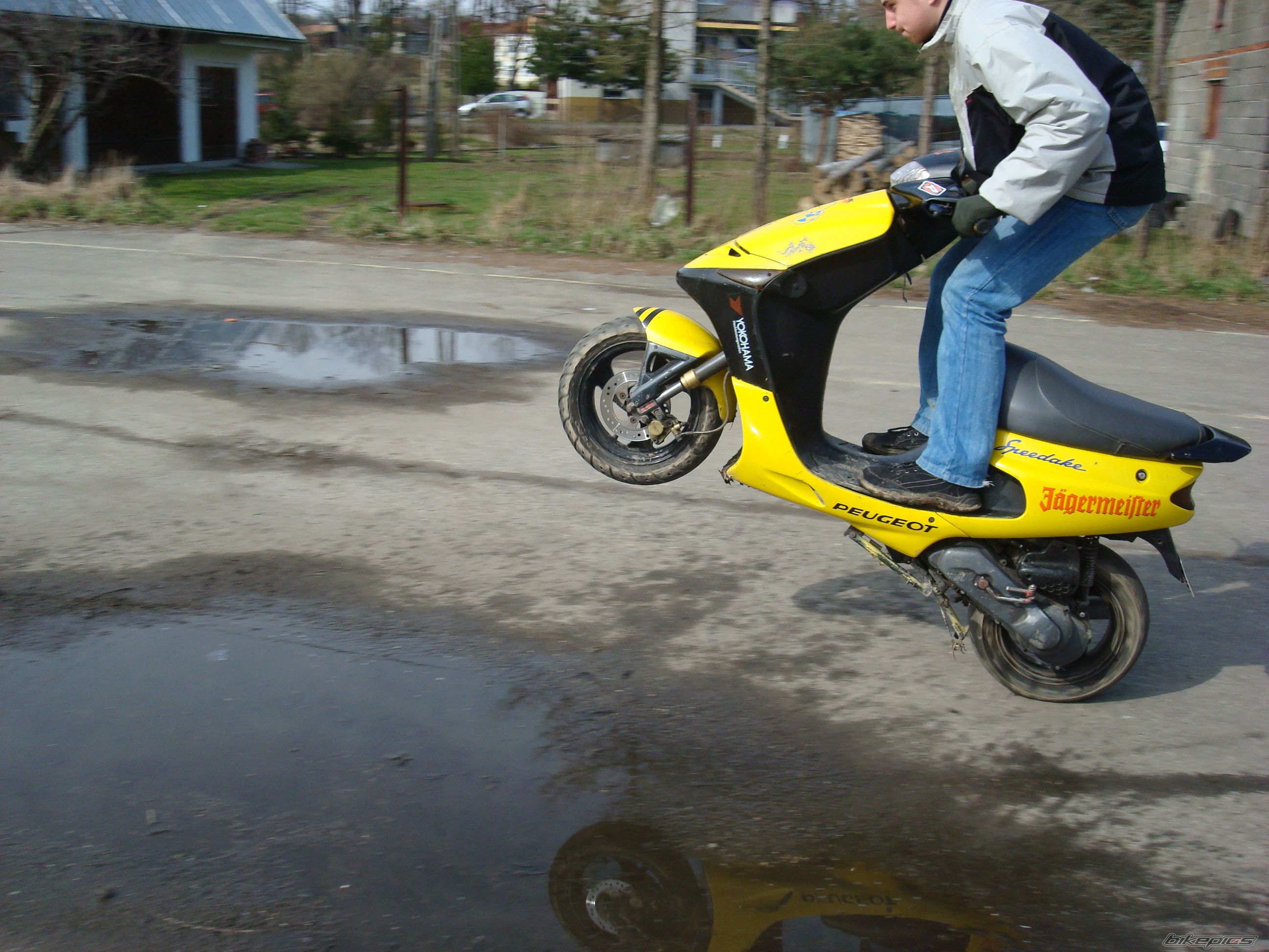 Photo 1224214