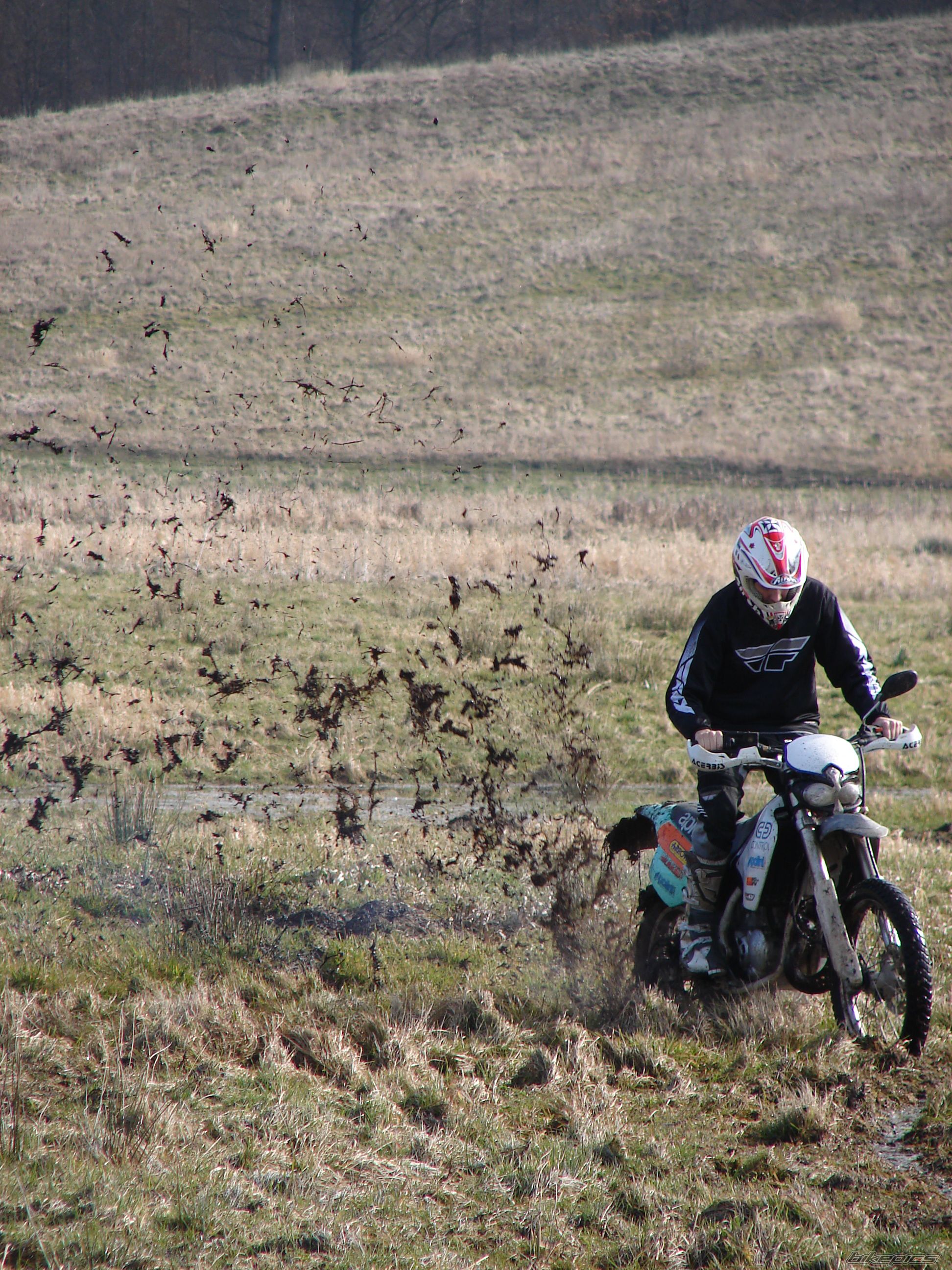 Photo 1224216