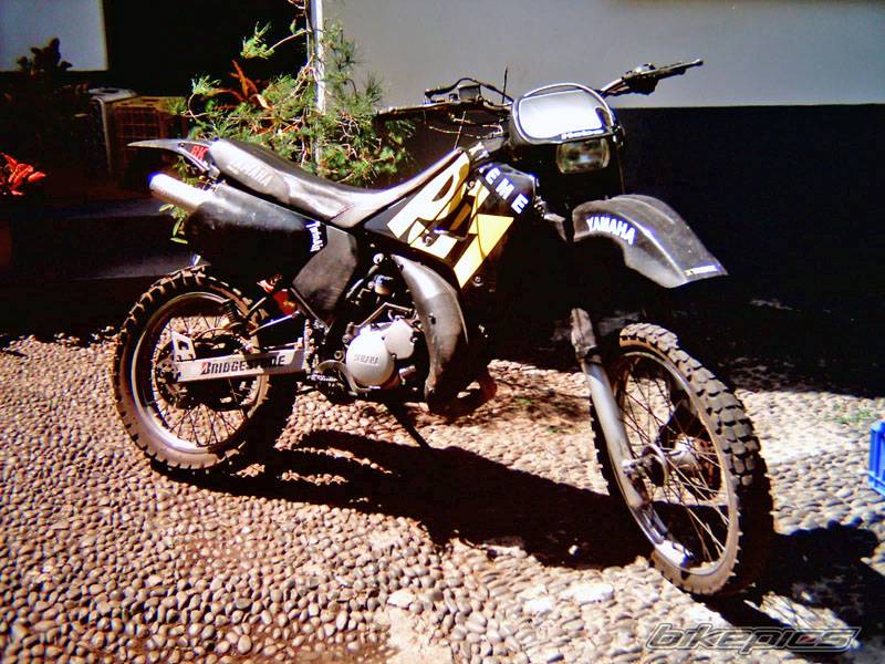 Photo 122428