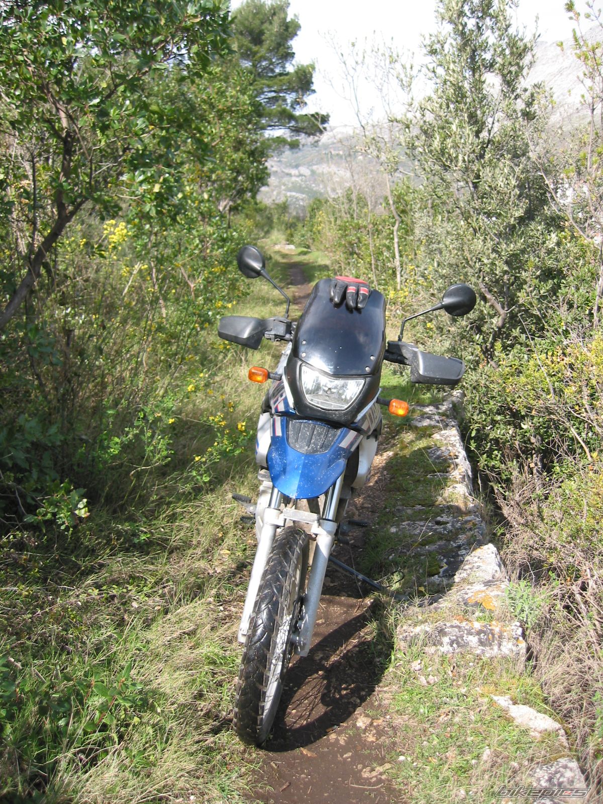 Photo 1224323