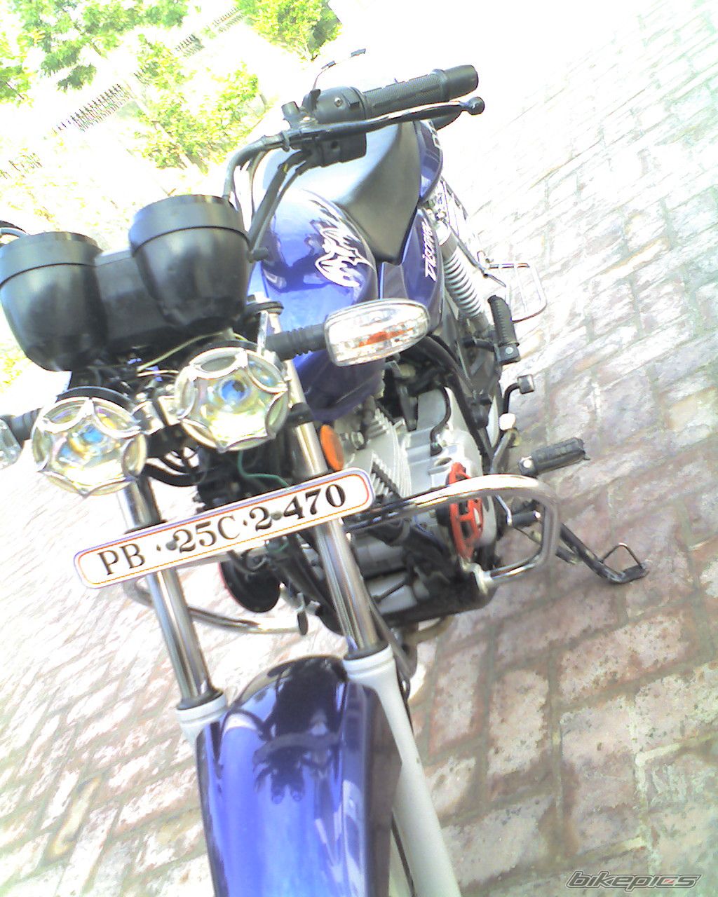 Photo 1224389