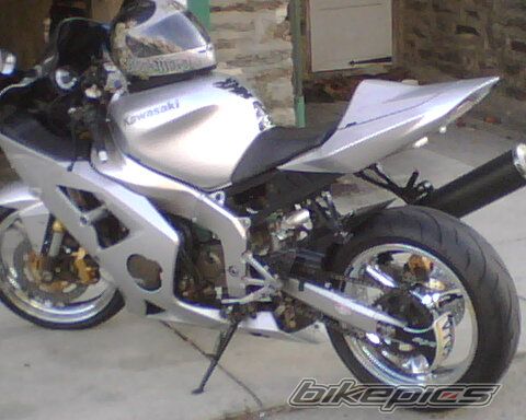 Photo 1224483
