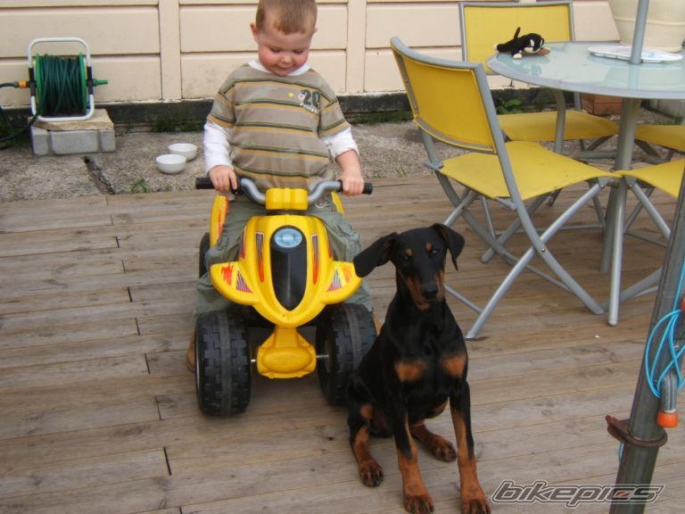 Photo 1224546