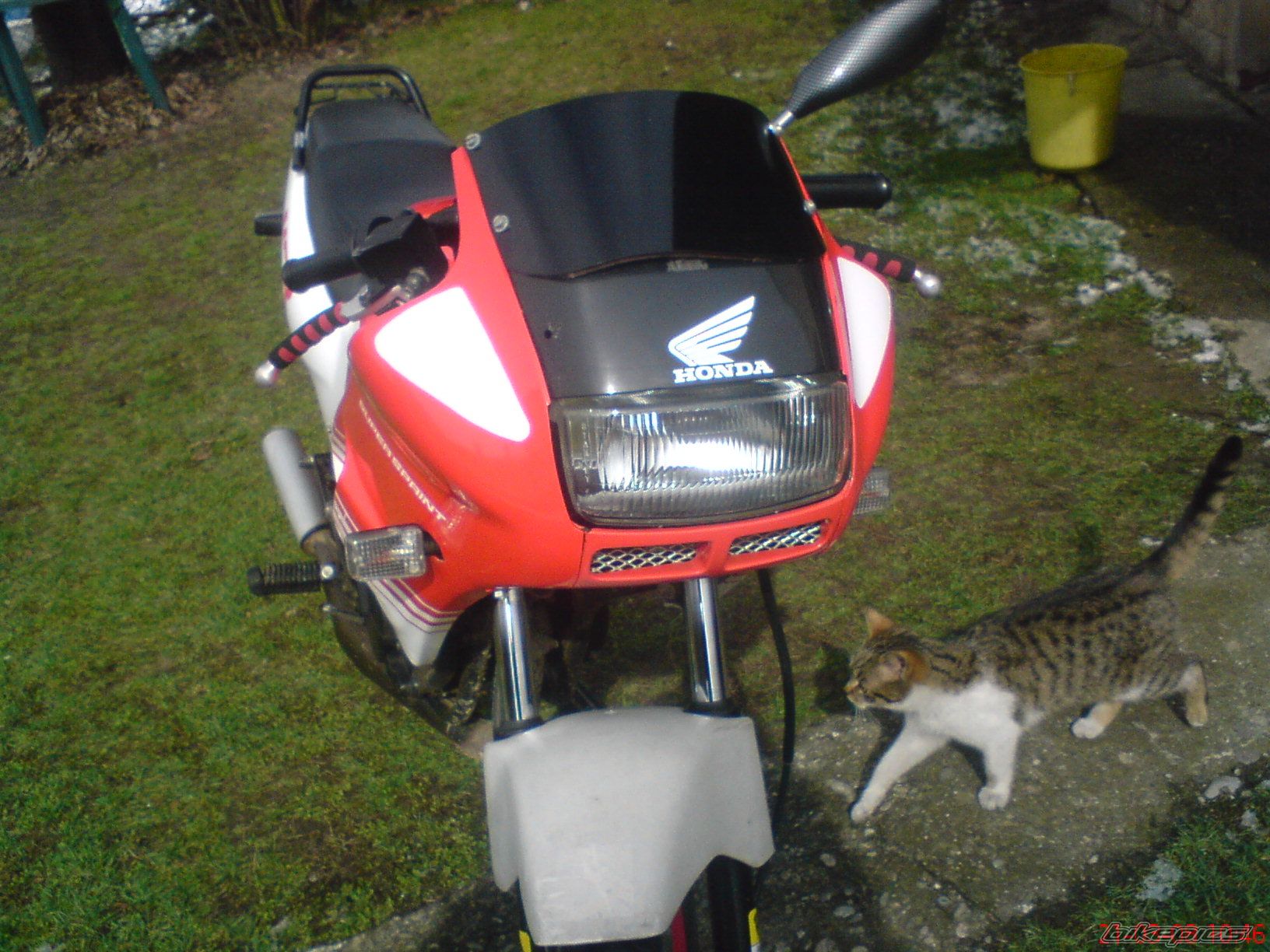 Photo 1224640