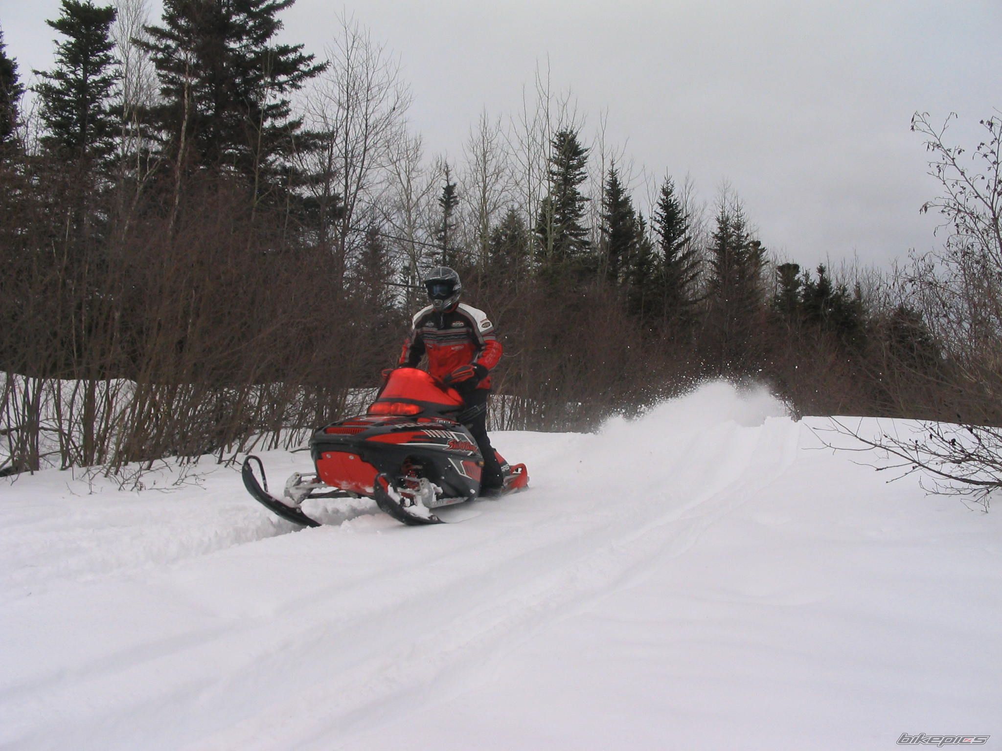 Photo 1224648