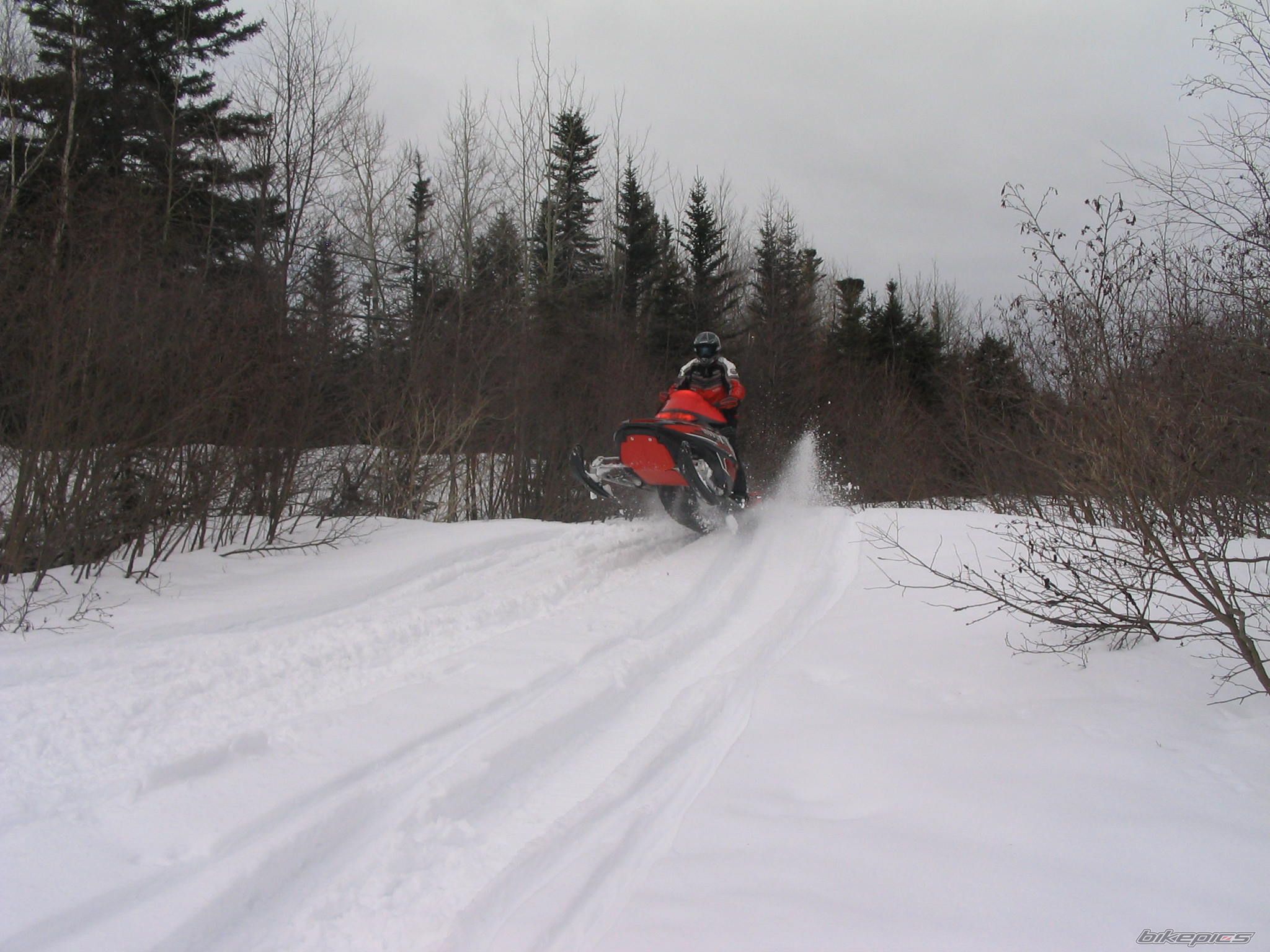 Photo 1224653