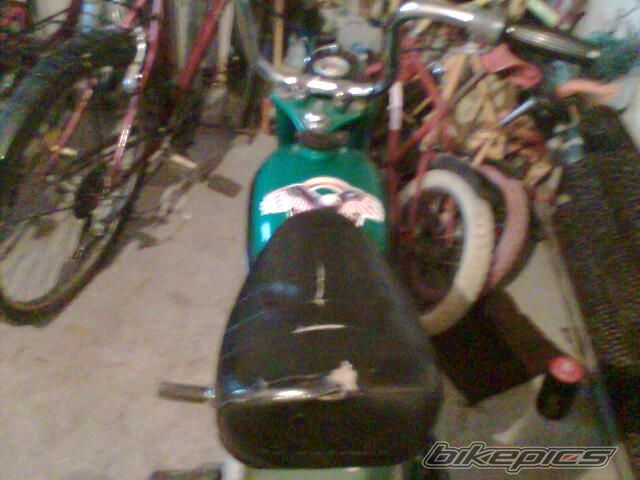 Photo 1224833