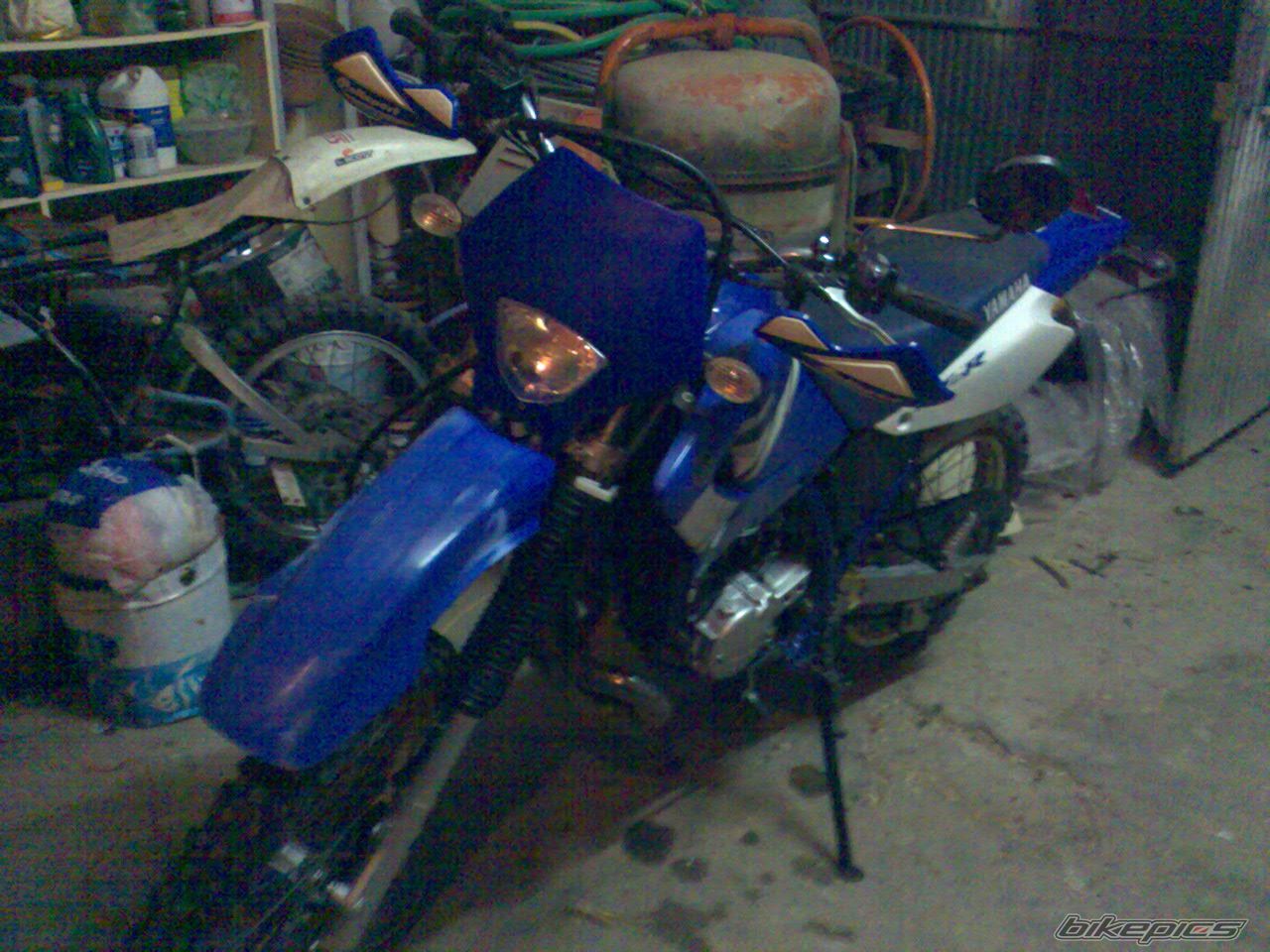 Photo 1224842