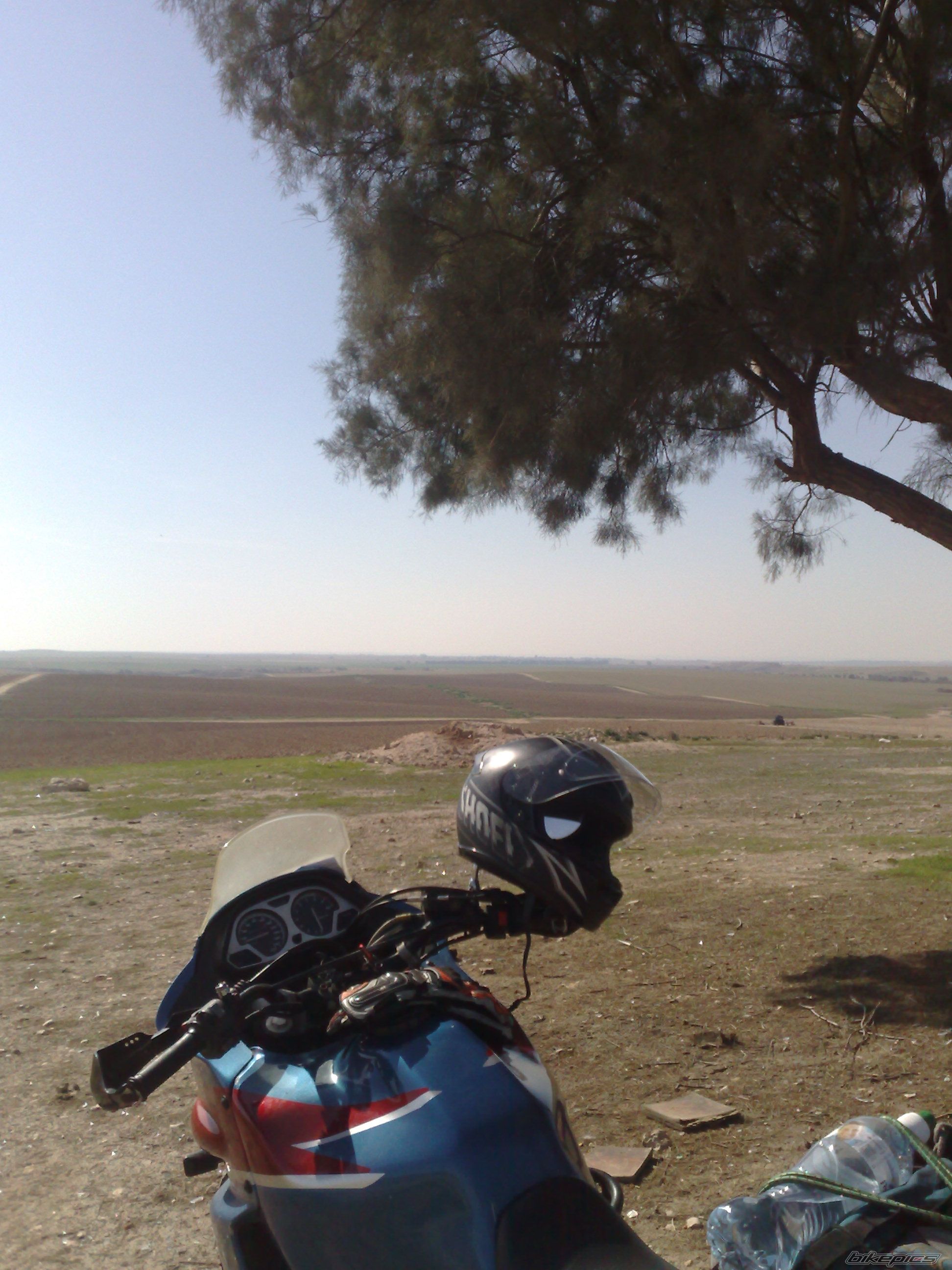 Photo 1224939