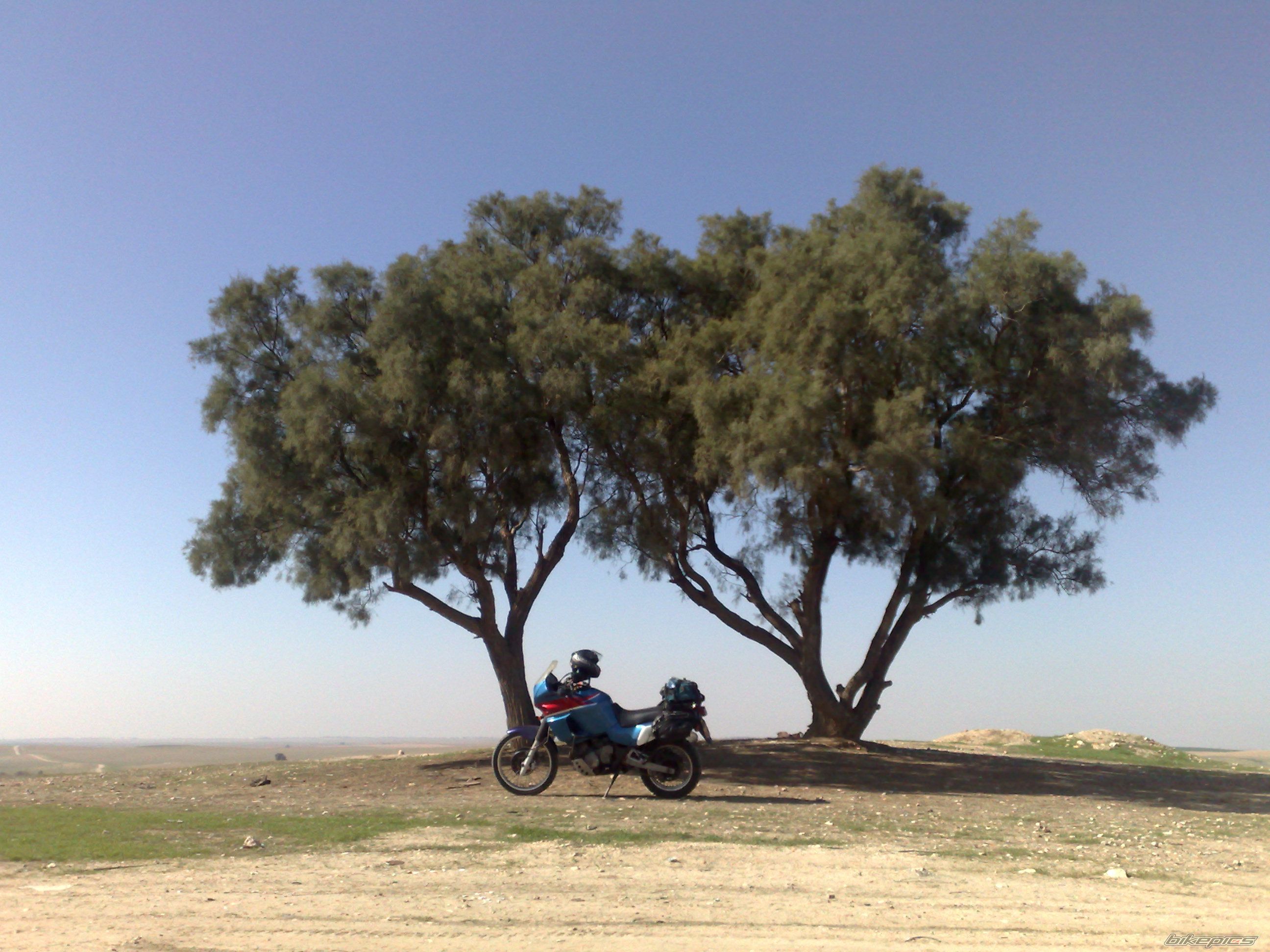 Photo 1224943