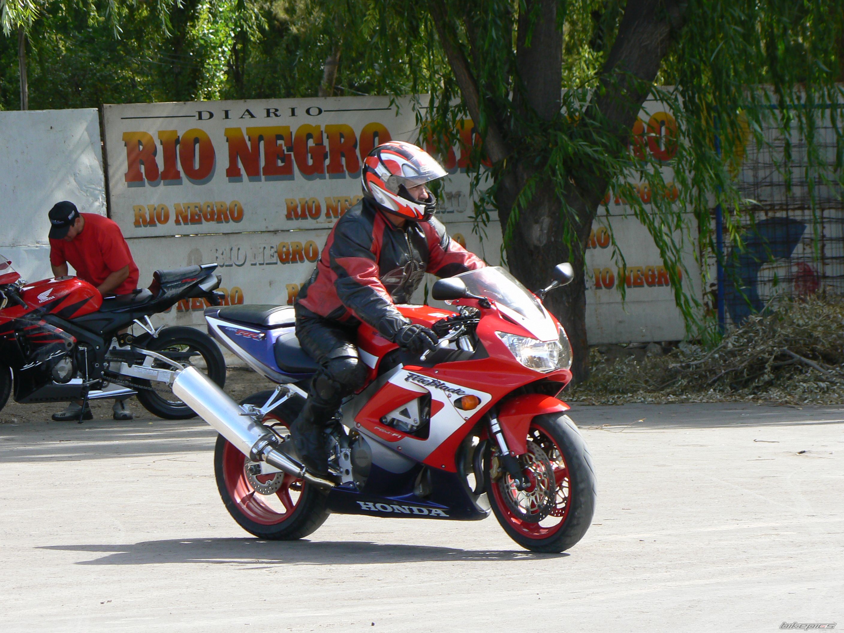 Photo 1224954