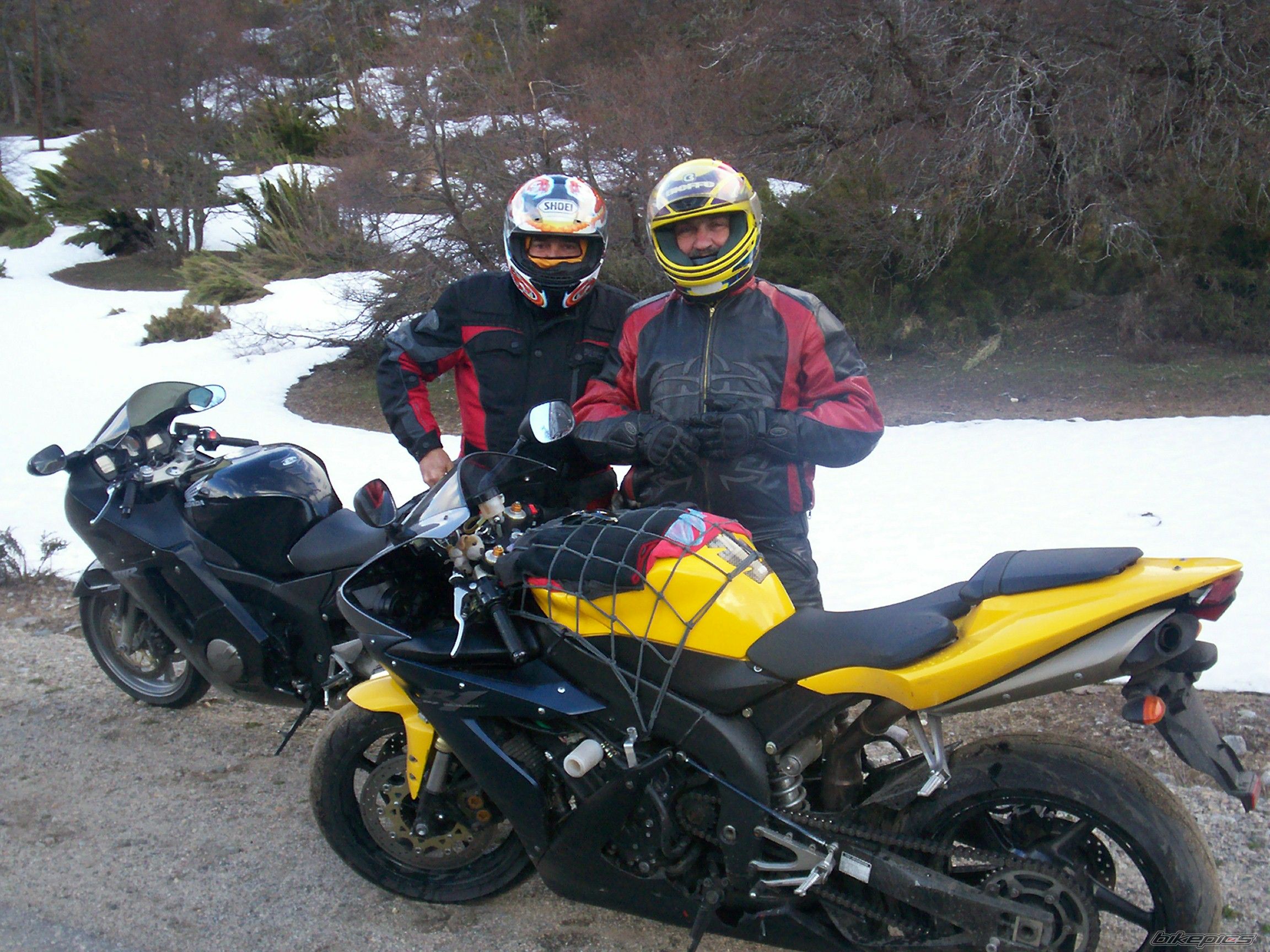Photo 1224981