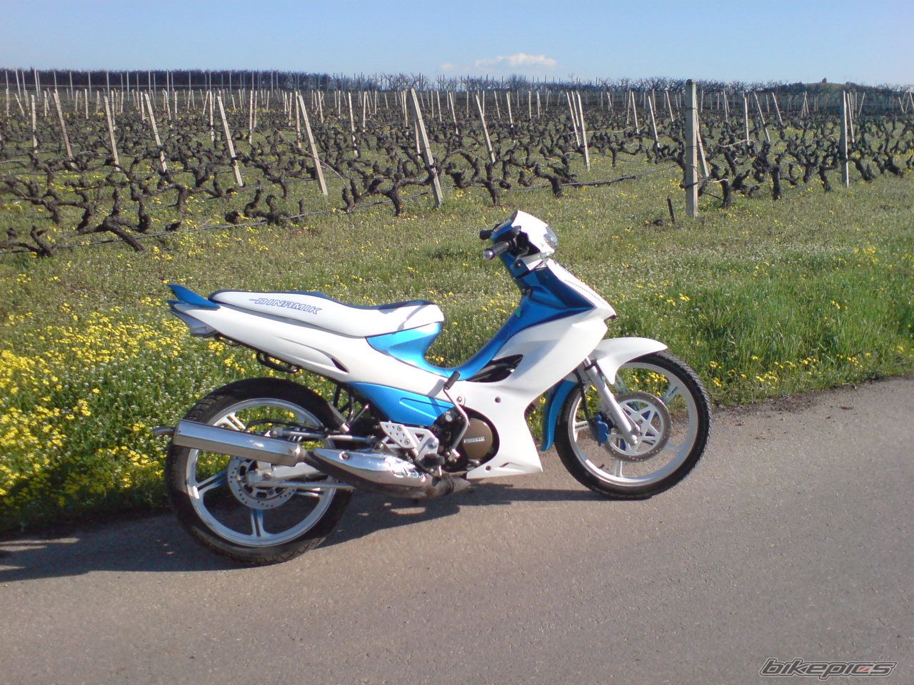 Photo 1225098