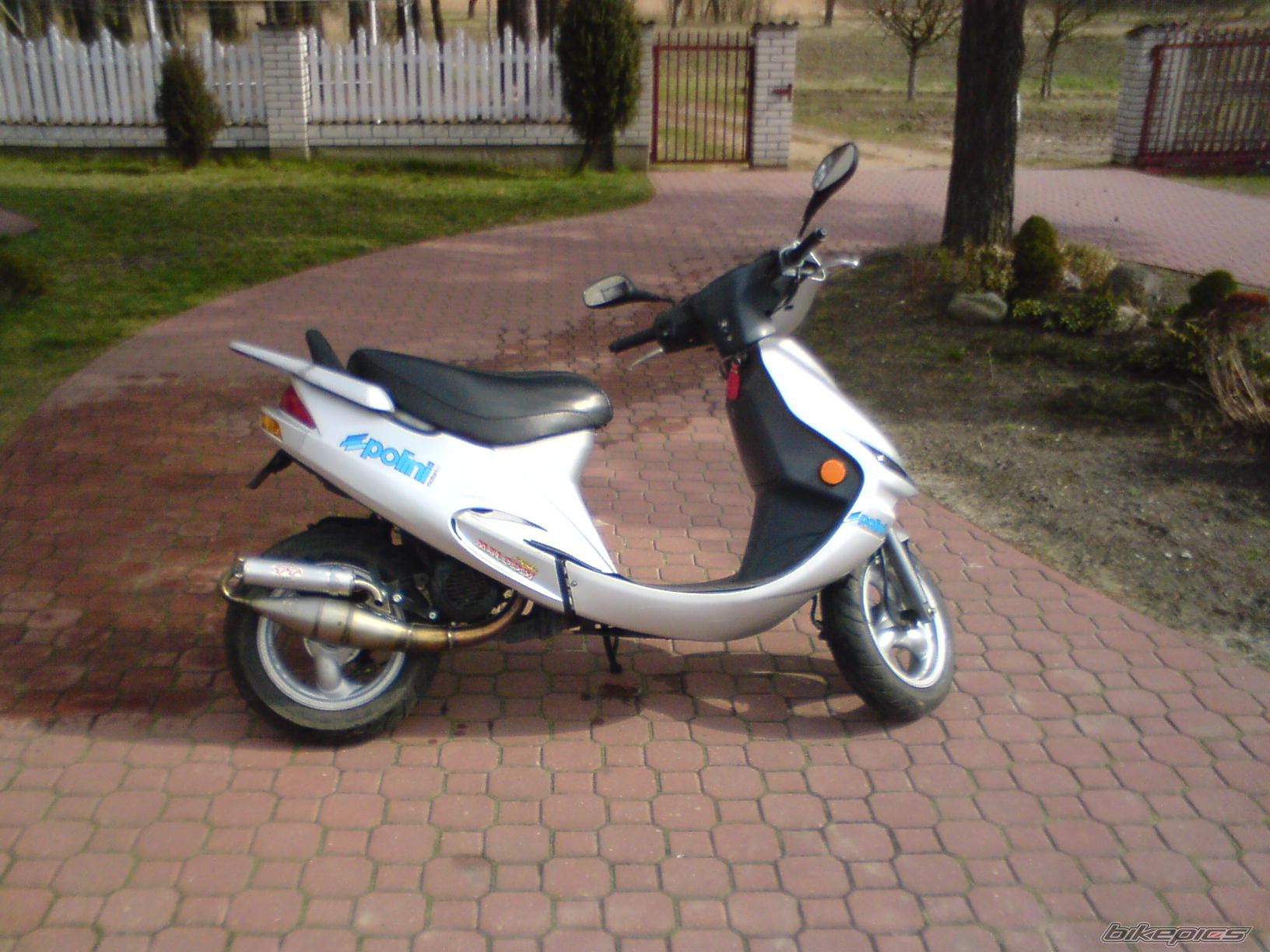 Photo 1225192