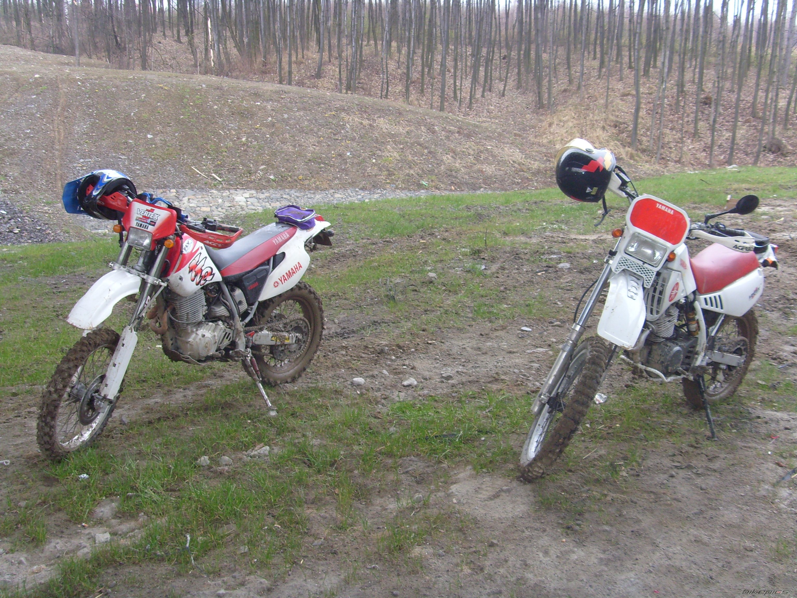 Photo 1225253