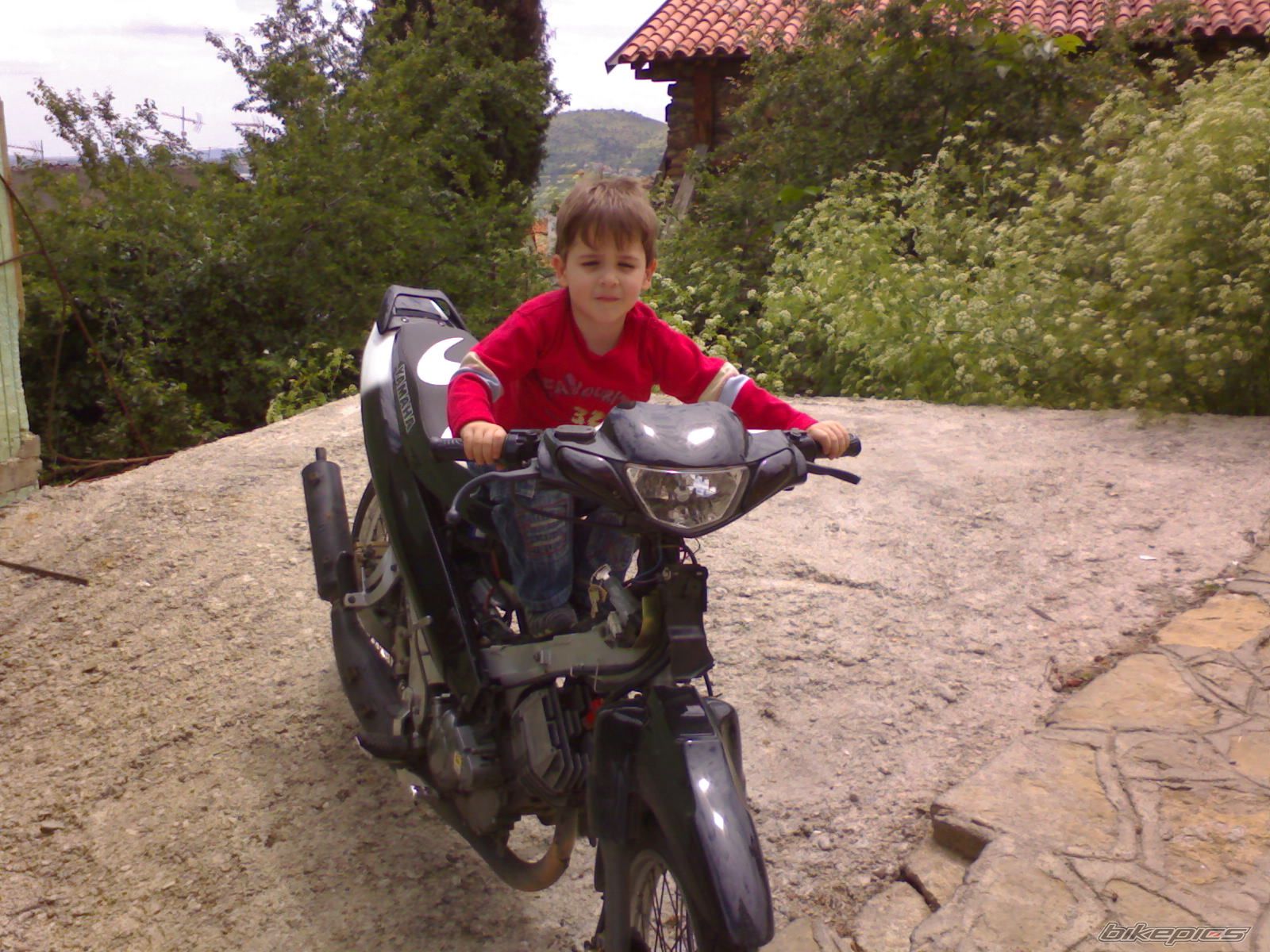 Photo 1225255